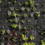 4 dicas para fazer uma horta vertical no seu apartamento
