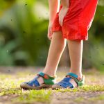 Como montar uma armadilha doméstica e sustentável antimosquito