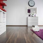 Como criar coelhos em apartamentos