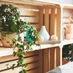 Elementos de decoração sustentável que você pode usar agora mesmo!