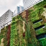 Eixo Rebouças tem alto padrão e habitação social