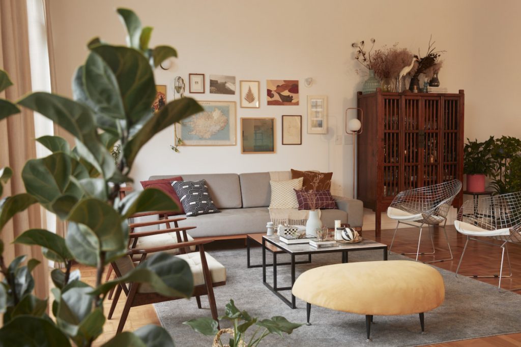 Sala de estar com móveis, planta, estante, sofá e poltronas
