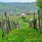 Compra do imóvel impacta qualidade de vida para 80% dos brasileiros