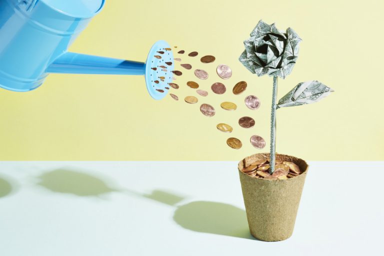 Na imagem um regador regando um vaso com dinheiro uma flores de dólares que ilustra cuidado dos investimentos