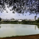Jardim Paulista: bairro nobre próximo a pontos privilegiados de São Paulo