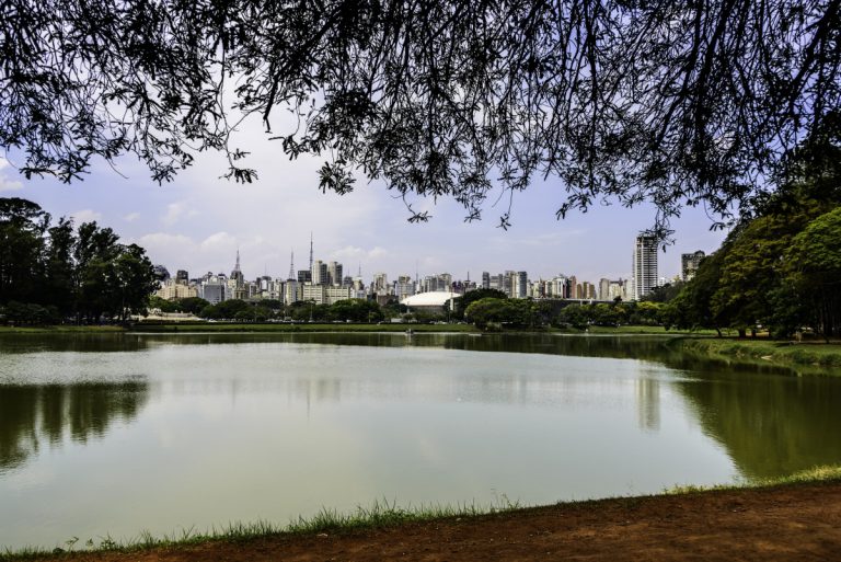 Visão do lago do parque do Ibirapuera