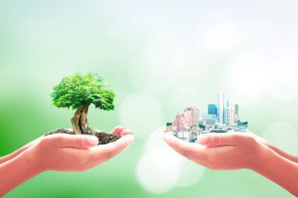 A responsabilidade ambiental do mercado imobiliário