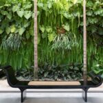 5 melhores plantas para decorar sua casa na primavera