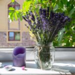 Como decorar sua casa com lavanda nesta primavera? Veja dicas